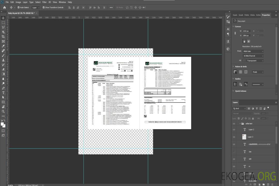 USA Woodforest xls 3 pages template